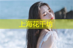 上海公司：成为焦点人物，参与奢华包装下的秘密社交活动！