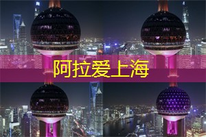 以自己的眼