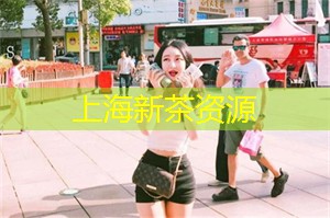 有个小村庄叫龙美